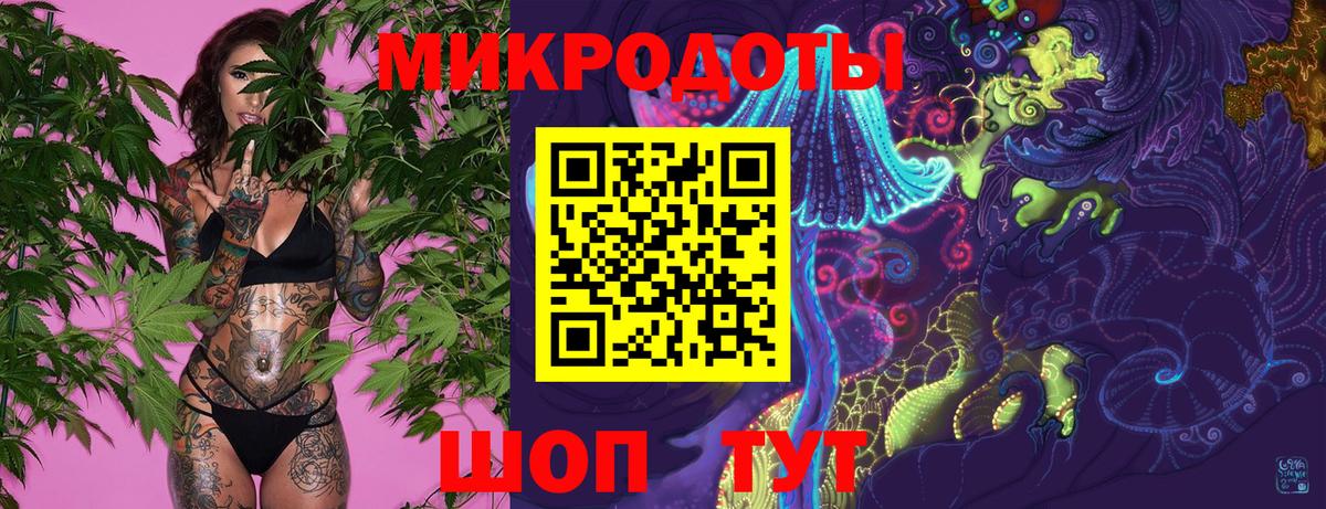 Псилоцибиновые грибы Psilocybine cubensis Пенза