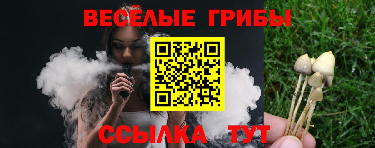 Пенза  Псилоцибиновые грибы прущие грибы  Галлюциногенные грибы ЛСД  Вход с VPN 